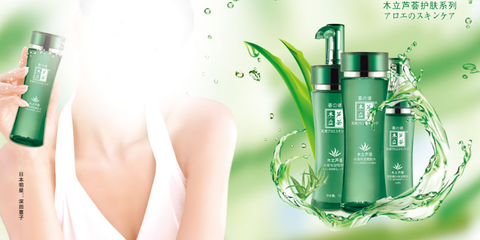 木立芦荟 从种植到美容研发的全方位解析